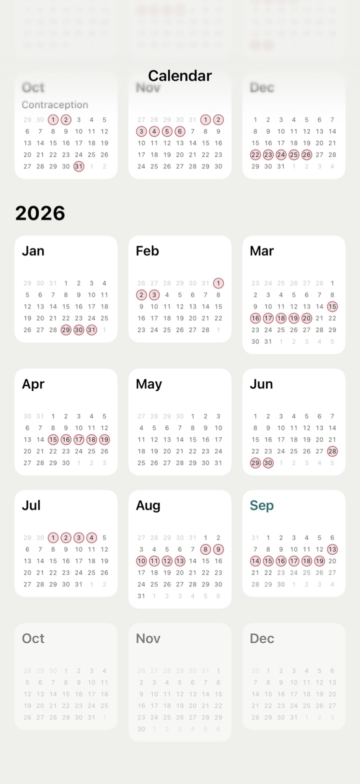 The year view: twelve mini-months with period days marked.